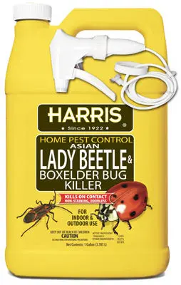 Harris HBXA-128 Asian Lady Beetle and Box Elder Bug Killer 128 Oz Ready-to-Use Spray