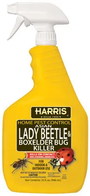 Harris HBXA-32 Asian Lady Beetle and Box Elder Bug Killer 32 Oz Ready-to-Use Spray