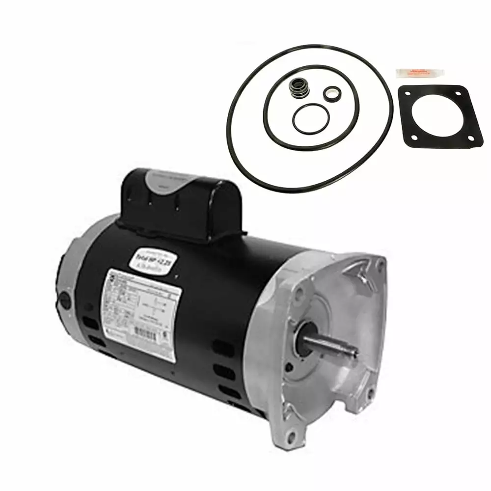 Puri Tech Replacement Motor Kit Sta-Rite Max-E-Glas 2HP Pool Pump