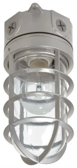 Consumer Products VT100G Vapor Tight Incandescent Floodlight 100W
