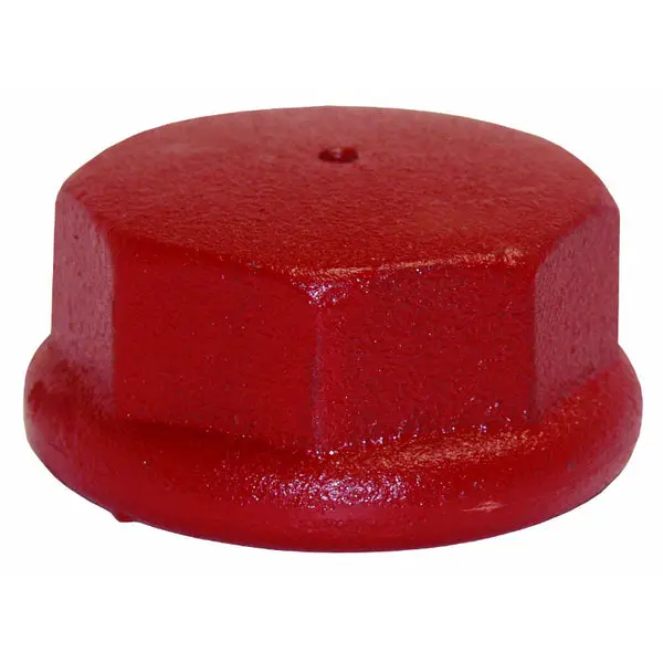 Water Source DC125 Cast Iron Drive Cap 1-1/4" Well Systems